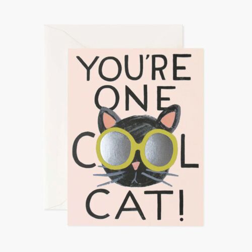 Rifle Stationery Cool Cat Card