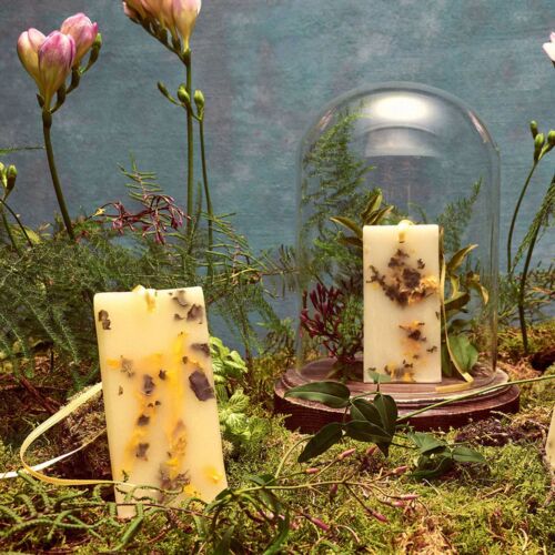 Santa Maria Novella Fresia Scented Wax Tablet Box/2