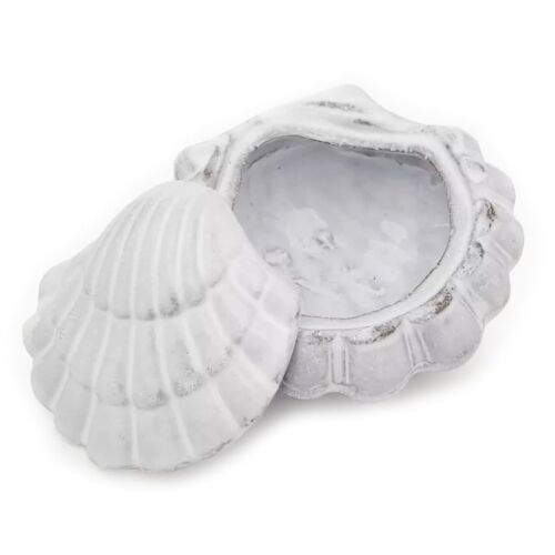 Shell Box