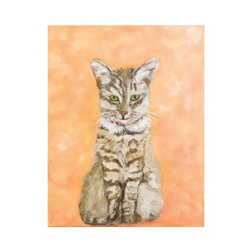 Shelter Pet Jewel Card