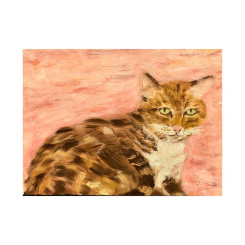 Shelter Pet Miss Emmy Card