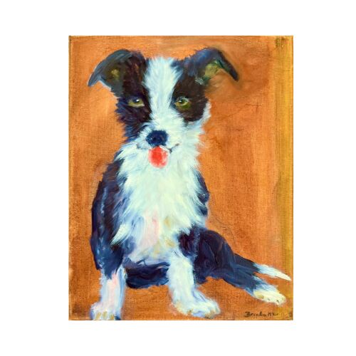 Shelter Pet Rocky Card