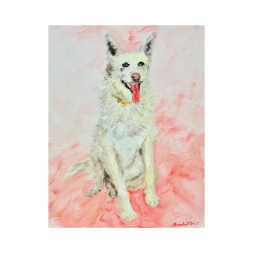 Shelter Pet Simi Card
