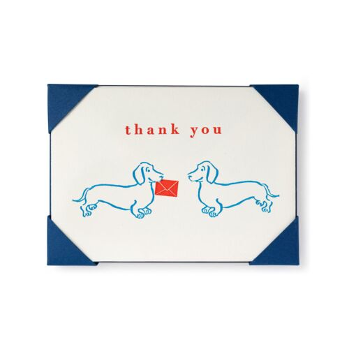 Stationery Dachshund Thank You Card