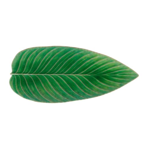 Stoneware Riviera Tomate Strelizia Leaf