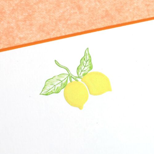 The Printery Stationery Set/10 Note Card Lemons