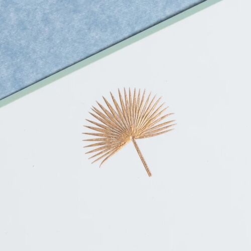 The Printery Stationery Set/10 Note Card Palm Frond