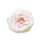 A'maries Petal Soap Flower Addie