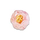 A'maries Petal Soap Flower Elenora Petite