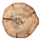 Kim Seybert Placemat Woodland