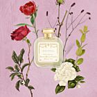  Santa Maria Novella Rosa Novella Cologne