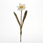 Anke Drechsel Deco Flower Daisy Ivory