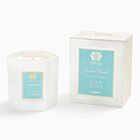 Antica Farmacista Candle Elderflower