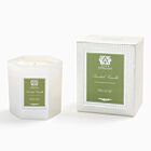 Antica Farmacista Candle Fig Leaf