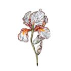 Artisan Brooch Pin Benton Iris