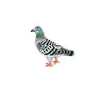Artisan Brooch Pin Homing Pigeon