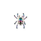 Artisan Brooch Pin Jewel Tarantula