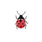 Artisan Brooch Pin Lucky Lady Bettle