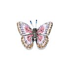 Artisan Brooch Pin Morpho Godarti