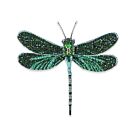 Artisan Brooch Pin Pondhawk Dragonfly