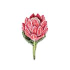 Artisan Brooch Pin Sugar Bush Protea