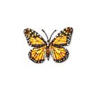 Artisan Brooch Pin Wanderer Monarch