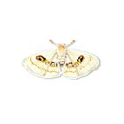 Artisan Brooch Pin White Spring Moth