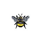 Artisan Brooch Pin Yellow-Banded Bee