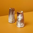 Artisan Horn Salt & Pepper Set Large