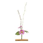 Artisan Object Aster Flower