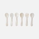 Artisan Shell Mother of Pearl Spoon Set/6