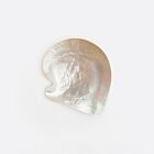 Artisan Shell Mother of Pearl Tray Small