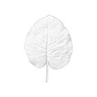Ornament Leaf Tropical by Jose Levy