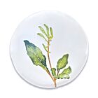 Au Bain Marie Chard Dinner Plate
