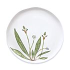 Au Bain Marie Plantago Dinner Plate