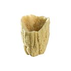 Baudelaire Vase Sponge Grand