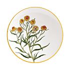 Bernardaud Jardin Indien Bergenis Dinner Plate