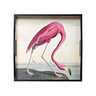 Caspari Lacquer Audubon Flamingo Tray