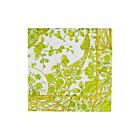 Caspari Paper Cocktail Napkin Pack/20 Gilded Porcelain Chartreuse