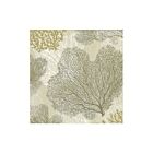 Caspari Paper Cocktail Napkin Pack/20 Sea Fans Taupe