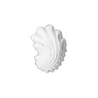Coquillage Dish Small