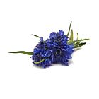 Deborah Rhodes Napkin Ring Cornflower