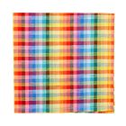 Deborah Rhodes Napkin Vivid Plaid