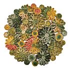 Deborah Rhodes Placemat Patchwork Daisy Grass Combo