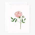   Emily Lex Garden Rose Notecard Set/8
