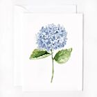   Emily Lex Hydrangea Stem Notecard Set/8