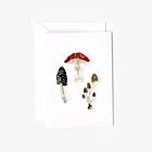   Emily Lex Mushrooms Mini Notecard