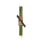 Greentree Home Everyday Sage Taper Pair 12"