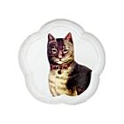 John Derian Country Cat Dinner Plate