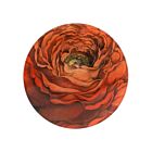 John Derian Decoupage 5.25" Plate The Rose